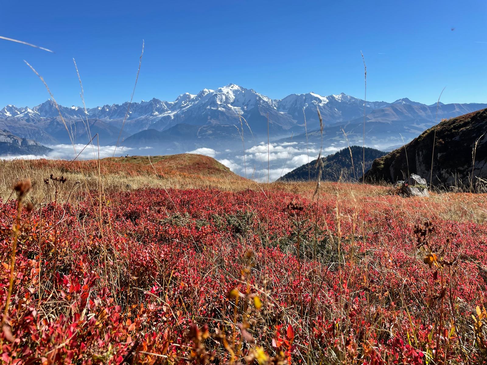 Chamonix in autumn: the off-season has its charm! Autumn school ...