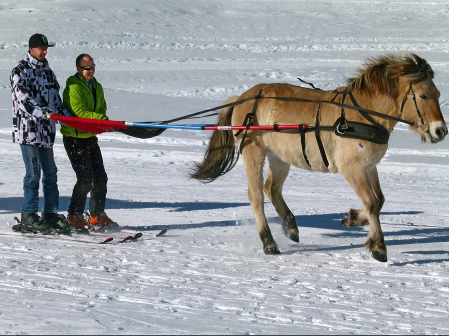 ski joering équipement