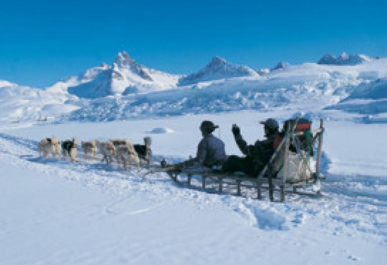 Dog Sledding in Chamonix and Vallorcine