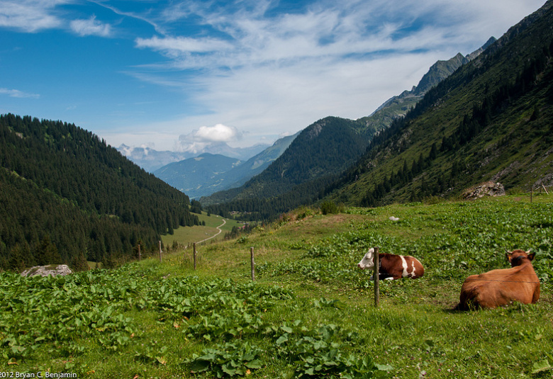 Promenades dans la vallée de Chamonix