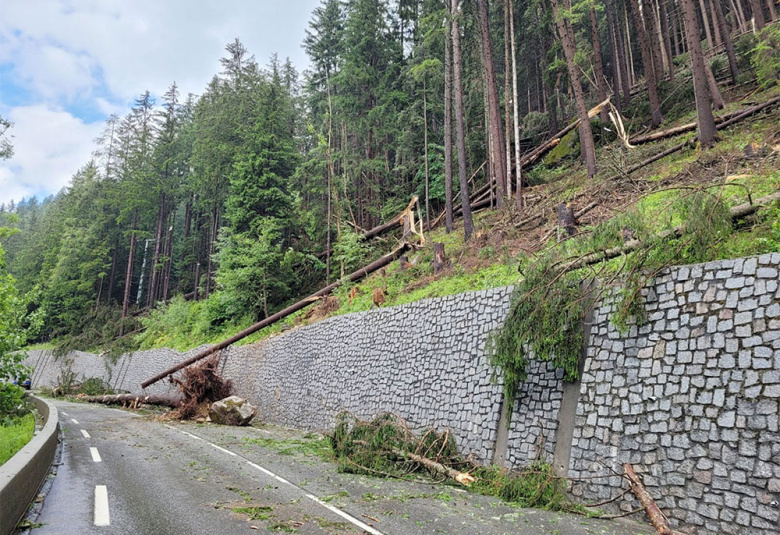 Planned closure of RD1506 between Chamonix and Argentiere, at La Poya
