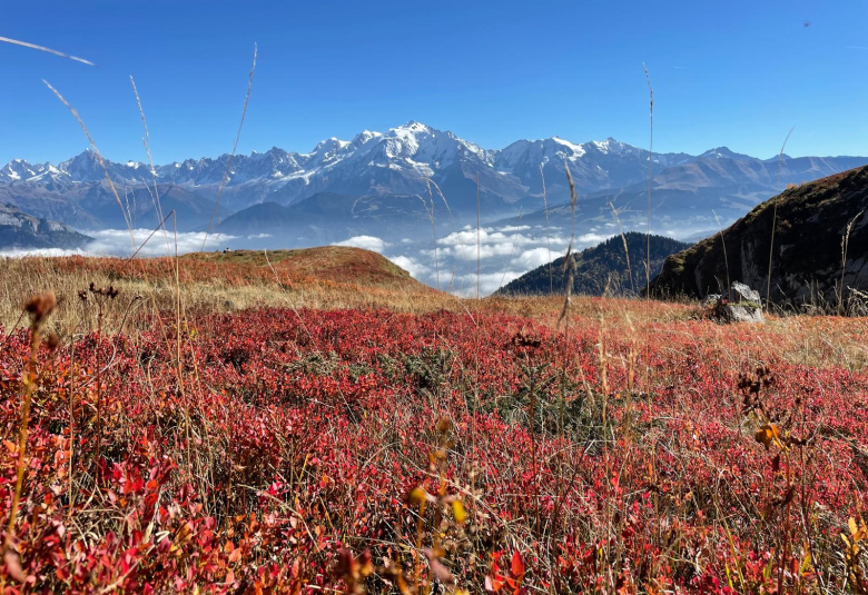 Le Mont Blanc et les couleurs d'Automne en Vallee de Chamonix