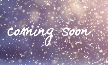 Stations de Ski, Domaines Skiables et Remontées mécaniques de la Vallée de Chamonix Mont Blanc