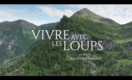 Le film "Vivre avec les Loups" présenté ce lundi 19 Février 2024, par son réalisateur. au Cinéma Vox de Chamonix.