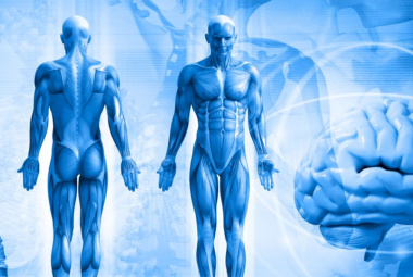 LEAL Luce ostéopathe chamonix