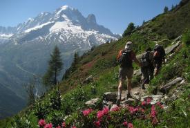 tour des aiguilles rouges eau