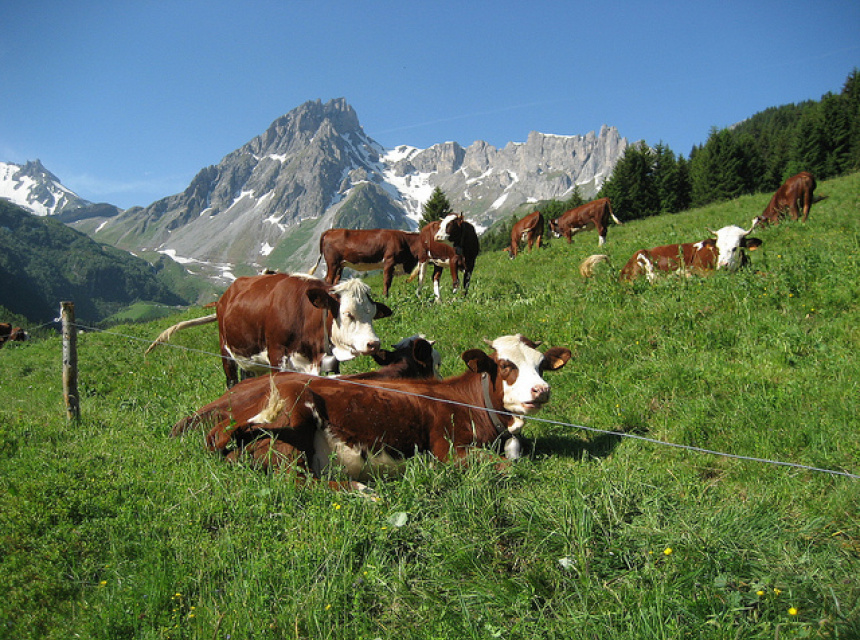Les Gorges de la Diosaz in Servoz, Chamonix Valley