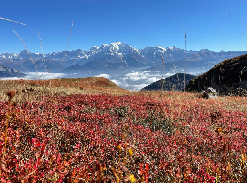 Le Mont Blanc et les couleurs d'Automne en Vallee de Chamonix