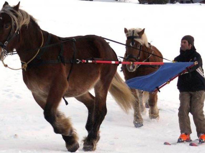 Ski Joering In Chamonix