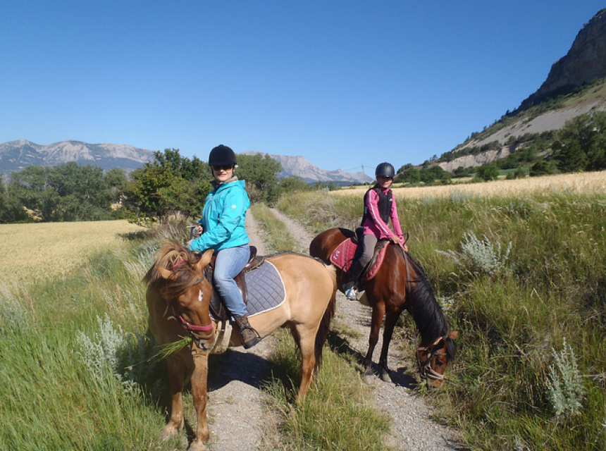 Enjoy the views while riding an horse in Chamonix